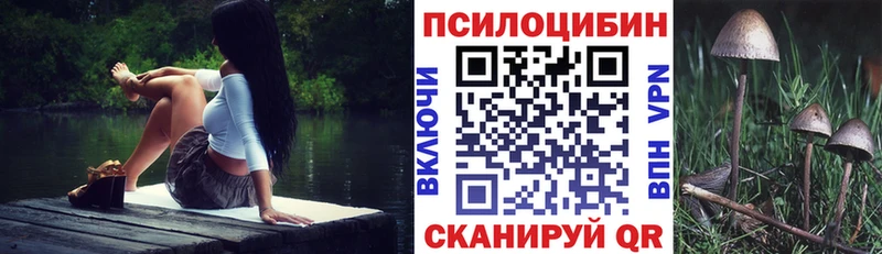 Купить закладки  Шуя  Псилоцибиновые грибы Psilocybe 